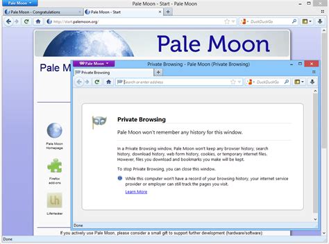 aplnoon|Pale Moon forum .